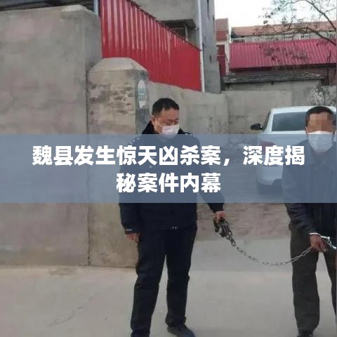 魏縣發(fā)生驚天兇殺案，深度揭秘案件內(nèi)幕