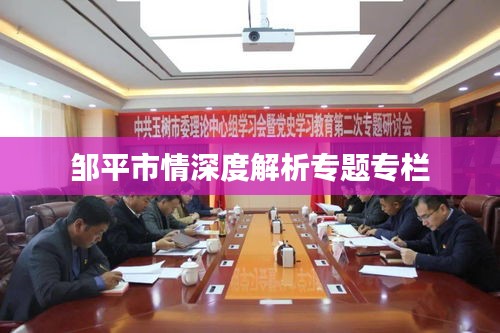 鄒平市情深度解析專題專欄