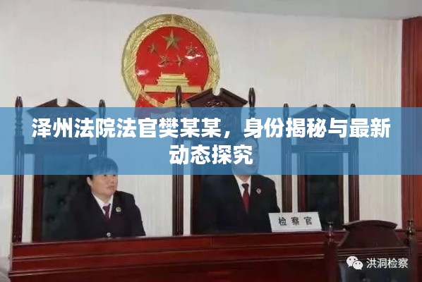 澤州法院法官樊某某，身份揭秘與最新動態(tài)探究