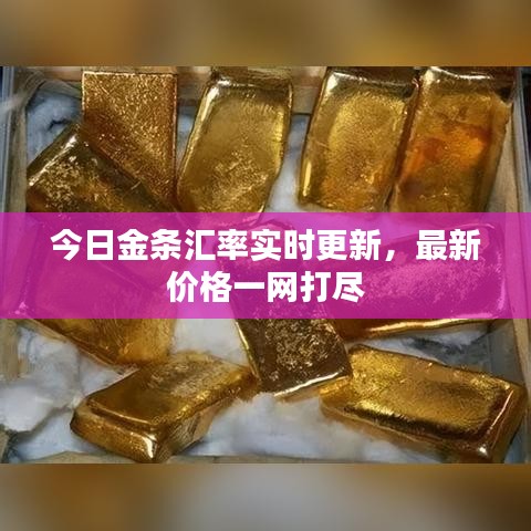 今日金條匯率實(shí)時更新，最新價格一網(wǎng)打盡