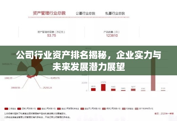 公司行業(yè)資產(chǎn)排名揭秘，企業(yè)實力與未來發(fā)展?jié)摿φ雇? width=