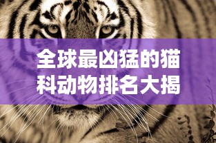 全球最兇猛的貓科動(dòng)物排名大揭秘！