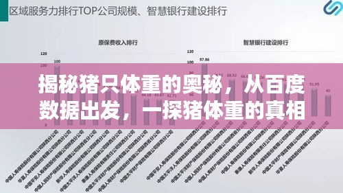 揭秘豬只體重的奧秘，從百度數(shù)據(jù)出發(fā)，一探豬體重的真相！