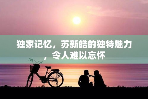 獨家記憶，蘇新皓的獨特魅力，令人難以忘懷