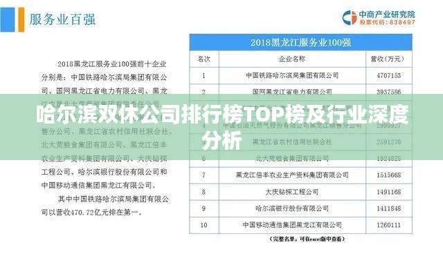 哈爾濱雙休公司排行榜TOP榜及行業(yè)深度分析