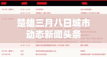 楚雄三月八日城市動(dòng)態(tài)新聞?lì)^條