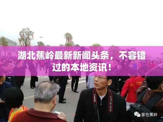 湖北蕉嶺最新新聞頭條，不容錯過的本地資訊！