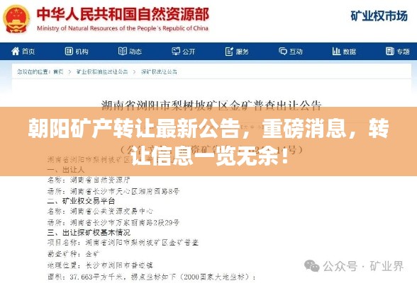 朝陽(yáng)礦產(chǎn)轉(zhuǎn)讓最新公告，重磅消息，轉(zhuǎn)讓信息一覽無(wú)余！