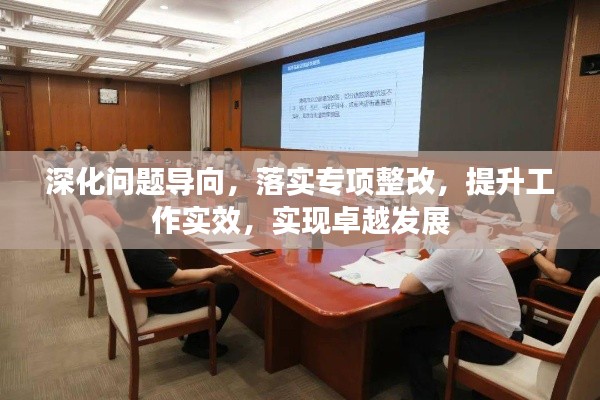 深化問題導(dǎo)向，落實專項整改，提升工作實效，實現(xiàn)卓越發(fā)展