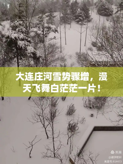 大連莊河雪勢驟增，漫天飛舞白茫茫一片！