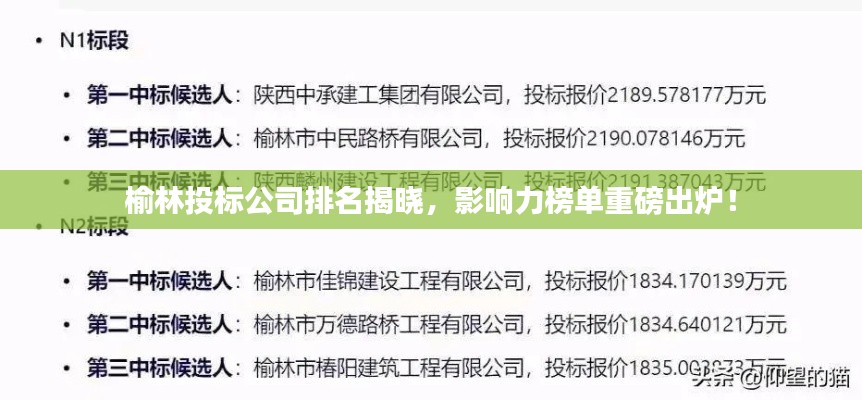 榆林投標公司排名揭曉，影響力榜單重磅出爐！