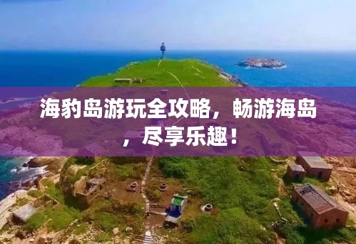 海豹島游玩全攻略，暢游海島，盡享樂趣！