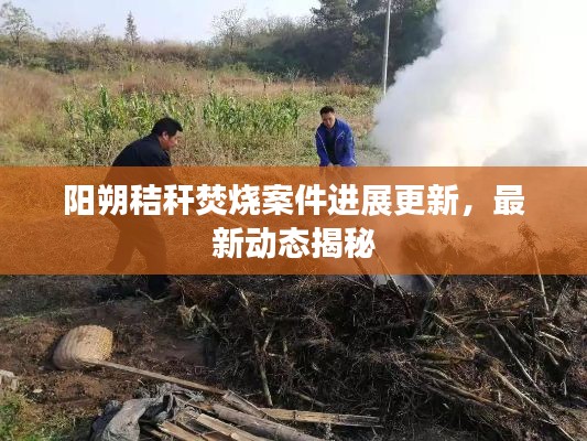 陽朔秸稈焚燒案件進展更新，最新動態(tài)揭秘