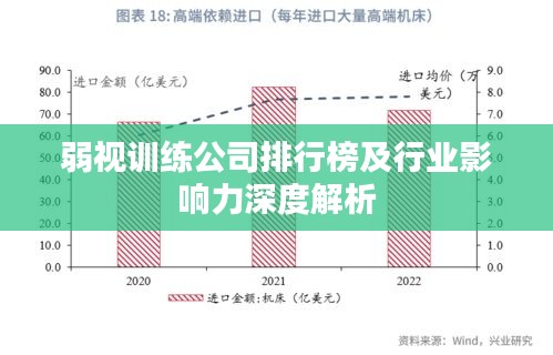 弱視訓(xùn)練公司排行榜及行業(yè)影響力深度解析