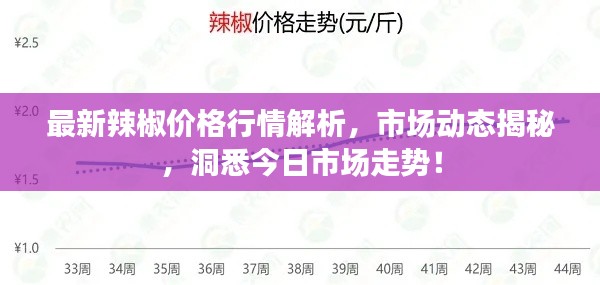 最新辣椒價(jià)格行情解析，市場動態(tài)揭秘，洞悉今日市場走勢！