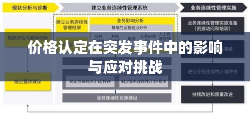 價格認定在突發(fā)事件中的影響與應對挑戰(zhàn)