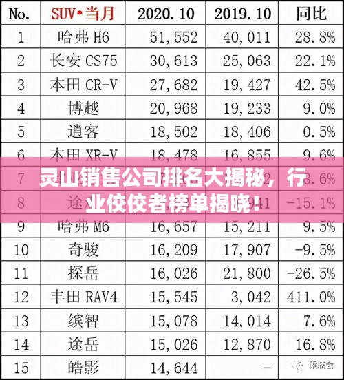 靈山銷售公司排名大揭秘，行業(yè)佼佼者榜單揭曉！