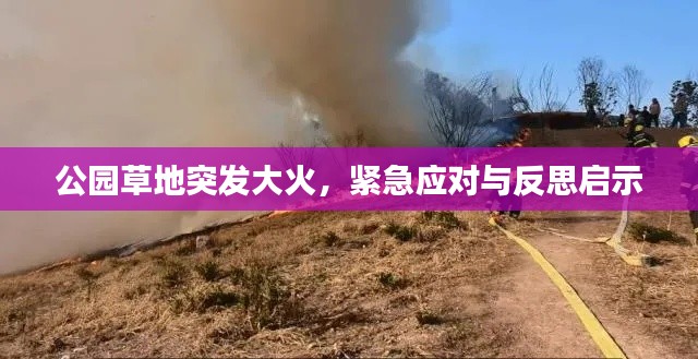 公園草地突發(fā)大火，緊急應(yīng)對與反思啟示