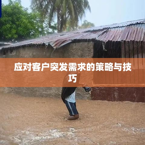應(yīng)對客戶突發(fā)需求的策略與技巧