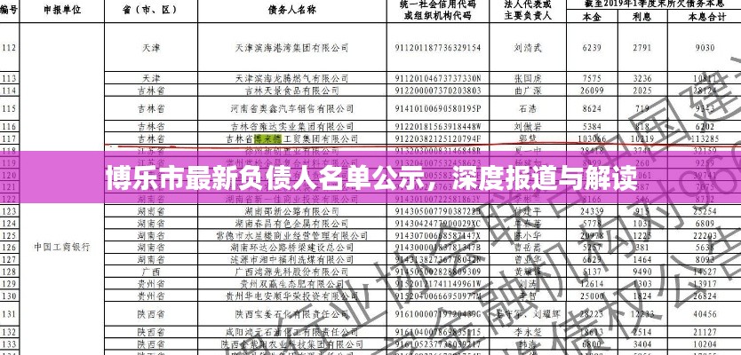 博樂市最新負(fù)債人名單公示，深度報道與解讀