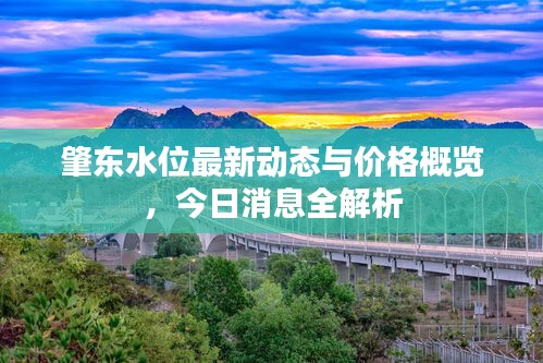 肇東水位最新動(dòng)態(tài)與價(jià)格概覽，今日消息全解析