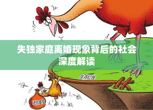 失獨家庭離婚現(xiàn)象背后的社會深度解讀