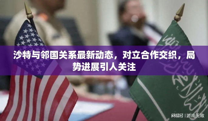 沙特與鄰國(guó)關(guān)系最新動(dòng)態(tài)，對(duì)立合作交織，局勢(shì)進(jìn)展引人關(guān)注
