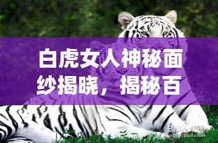 白虎女人神秘面紗揭曉，揭秘百度收錄下的獨(dú)特魅力傳說(shuō)！