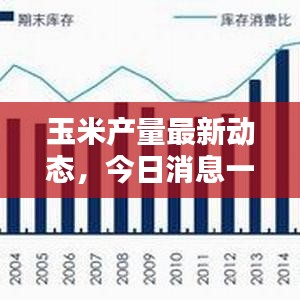 玉米產(chǎn)量最新動態(tài)，今日消息一覽，了解最新趨勢！
