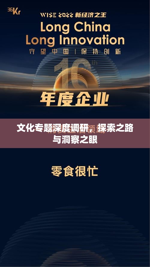 文化專題深度調(diào)研，探索之路與洞察之眼