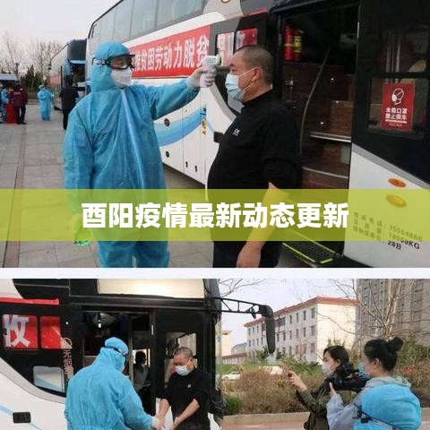 酉陽疫情最新動態(tài)更新