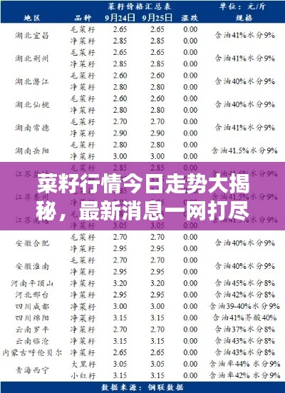 菜籽行情今日走勢大揭秘，最新消息一網(wǎng)打盡！