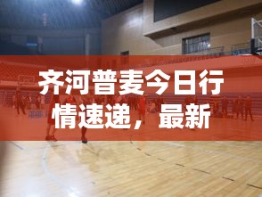 齊河普麥今日行情速遞，最新動態(tài)一網(wǎng)打盡！