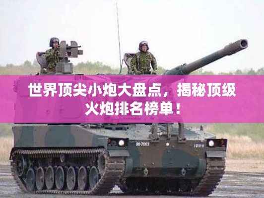 世界頂尖小炮大盤點(diǎn)，揭秘頂級火炮排名榜單！