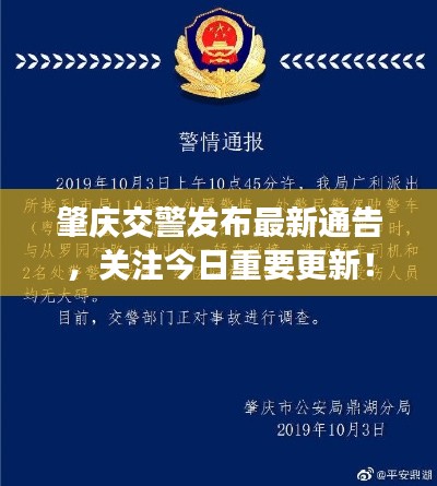 肇慶交警發(fā)布最新通告，關(guān)注今日重要更新！