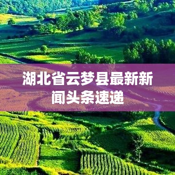 湖北省云夢(mèng)縣最新新聞?lì)^條速遞