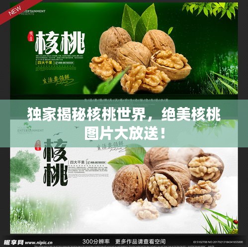 獨(dú)家揭秘核桃世界，絕美核桃圖片大放送！
