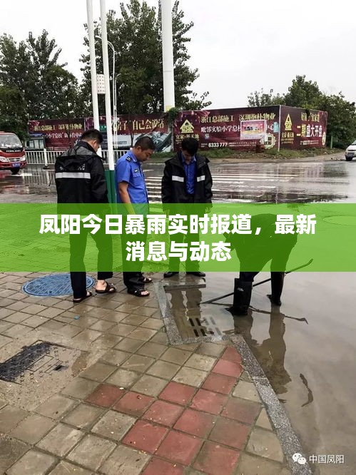 鳳陽今日暴雨實時報道，最新消息與動態(tài)