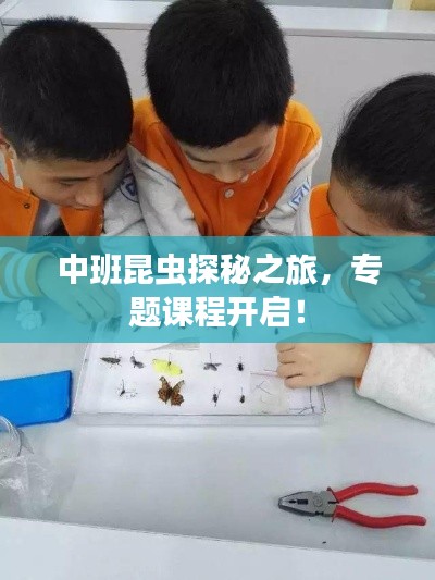 中班昆蟲(chóng)探秘之旅，專(zhuān)題課程開(kāi)啟！