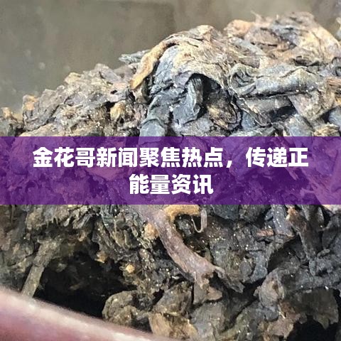 金花哥新聞聚焦熱點，傳遞正能量資訊