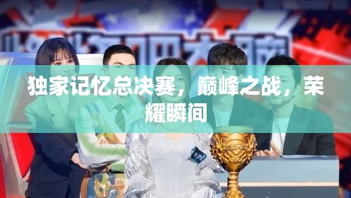 獨家記憶總決賽，巔峰之戰(zhàn)，榮耀瞬間