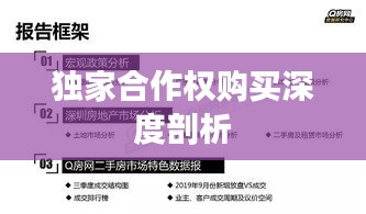 獨家合作權購買深度剖析