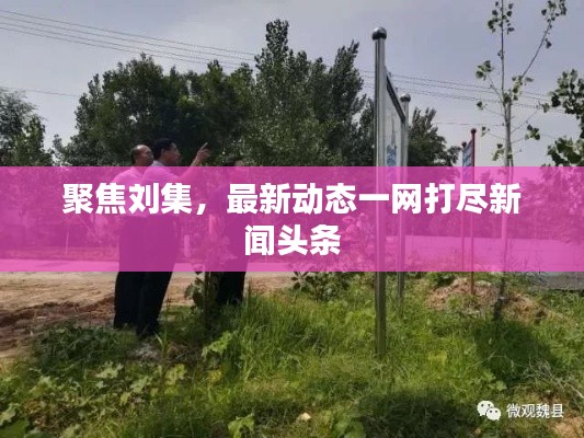 聚焦劉集，最新動態(tài)一網(wǎng)打盡新聞頭條