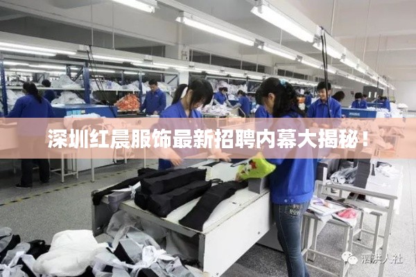 深圳紅晨服飾最新招聘內(nèi)幕大揭秘！