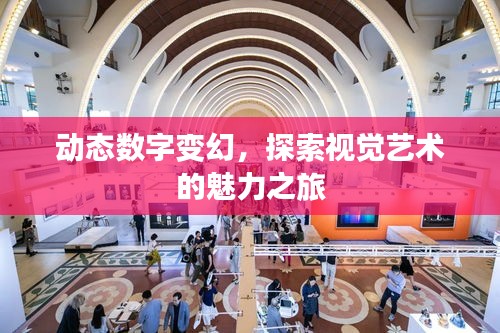 動態(tài)數(shù)字變幻，探索視覺藝術(shù)的魅力之旅
