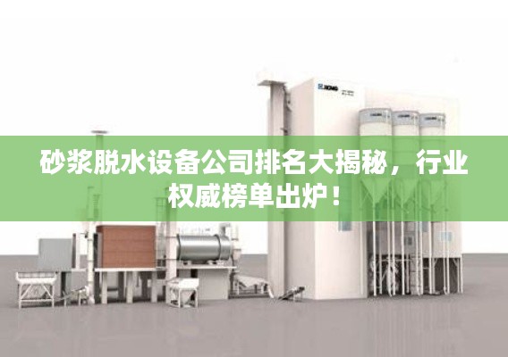 砂漿脫水設(shè)備公司排名大揭秘，行業(yè)權(quán)威榜單出爐！