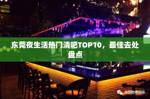 東莞夜生活熱門清吧TOP10，最佳去處盤點