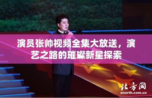 演員張帥視頻全集大放送，演藝之路的璀璨新星探索