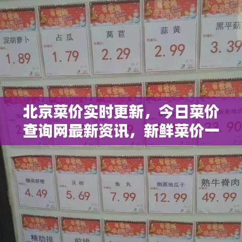 北京菜價實時更新，今日菜價查詢網(wǎng)最新資訊，新鮮菜價一手掌握