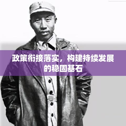 政策銜接落實(shí)，構(gòu)建持續(xù)發(fā)展的穩(wěn)固基石